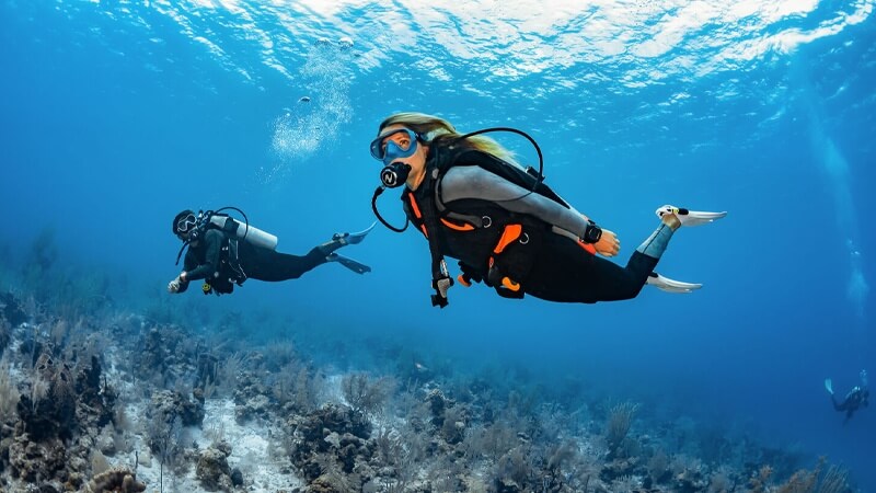 Snorkeling in The Red Sea