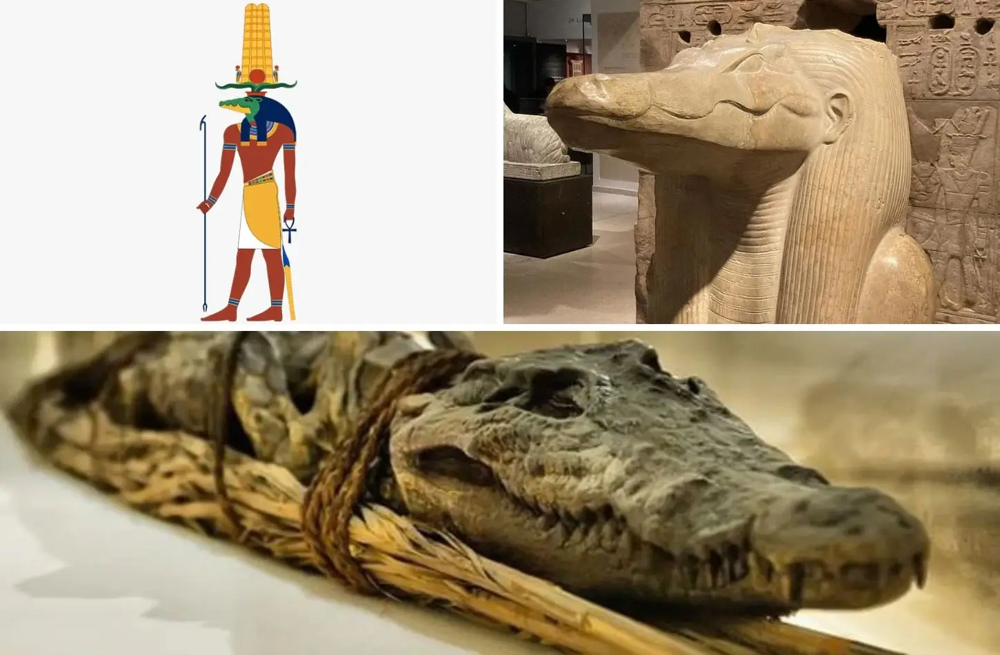 A visual comparison featuring an illustration, a granite statue head, and a preserved mummy of the Egyptian god Sobek.