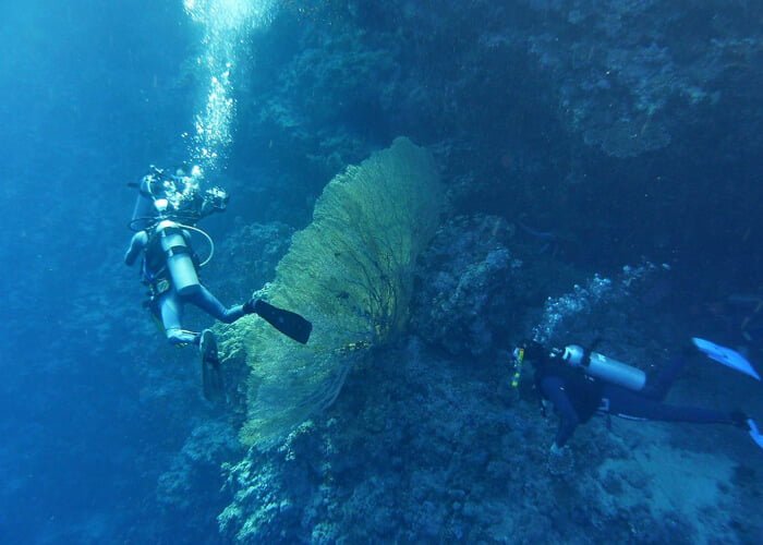 Snorkeling by Boat to Ras Mohamed
