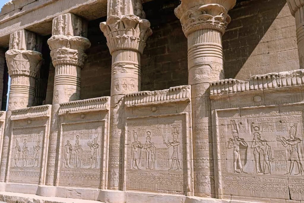Gallery image 5