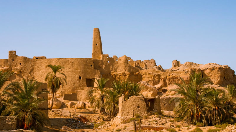 Siwa Oasis