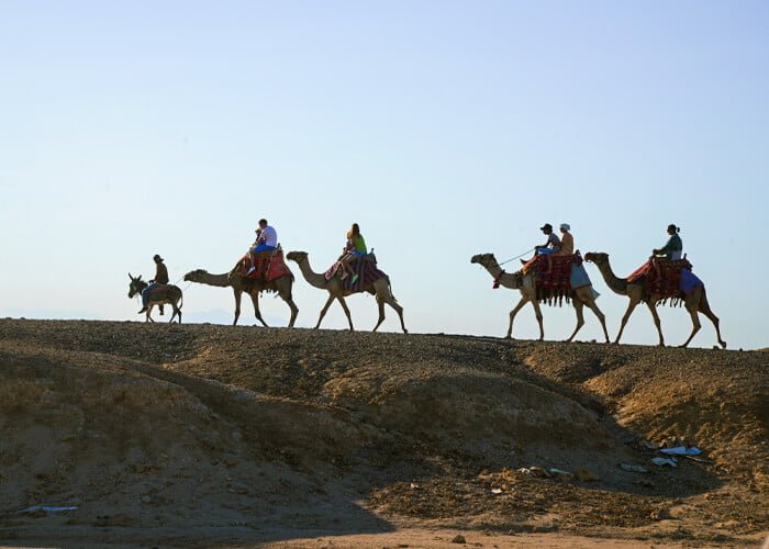 Private airport transfers across Egypt