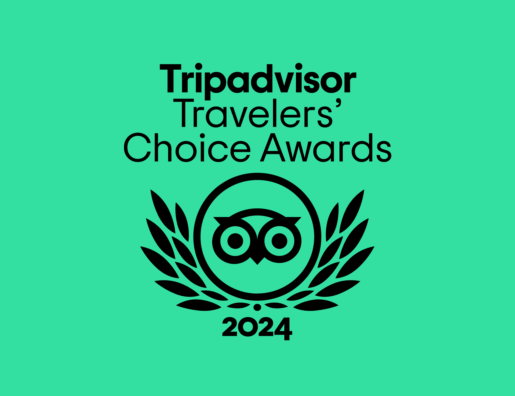 Tripadvisor Travelers Choice Digital Assets 2024