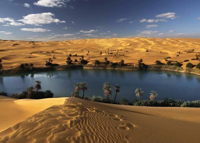 Egyptian Oasis