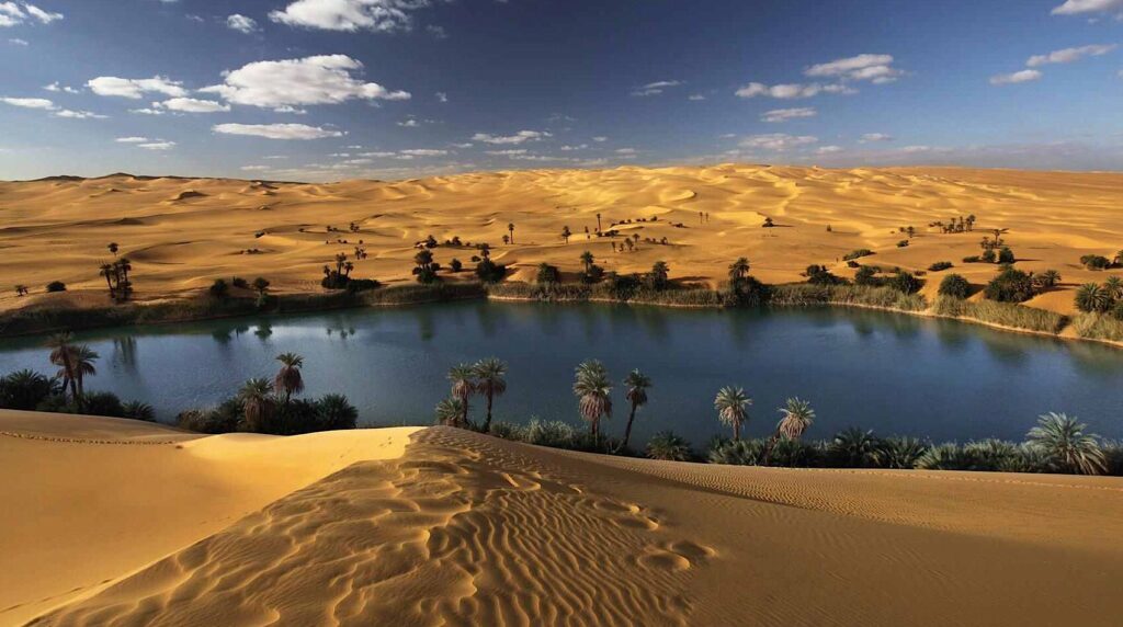 Egyptian Oasis