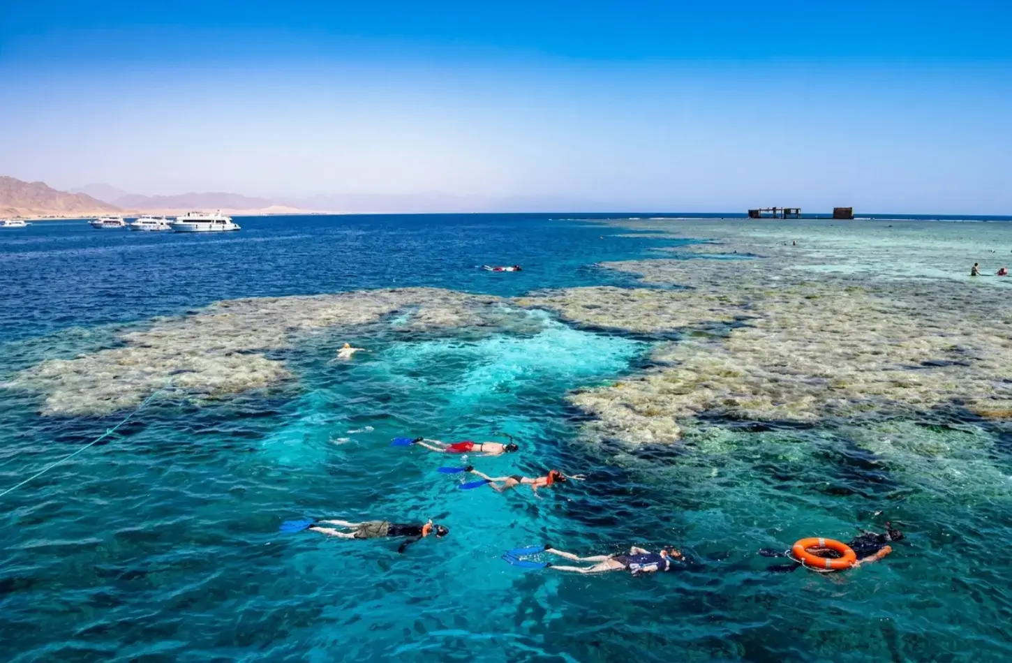 Snorkelers swimming along vibrant Red Sea coral reefs included in a 7 day Egypt itinerary